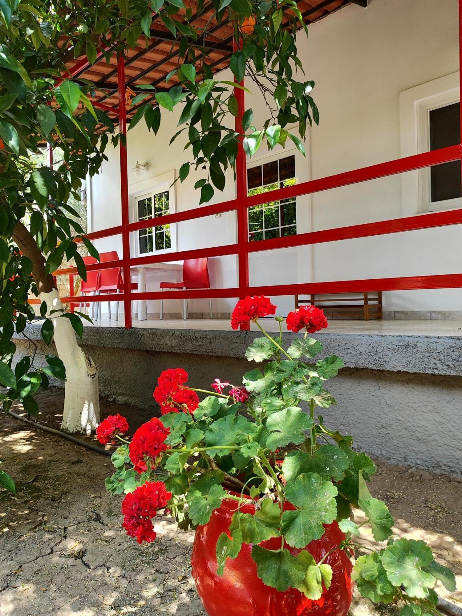 Cottonclub Villas Toló Kültér fotó