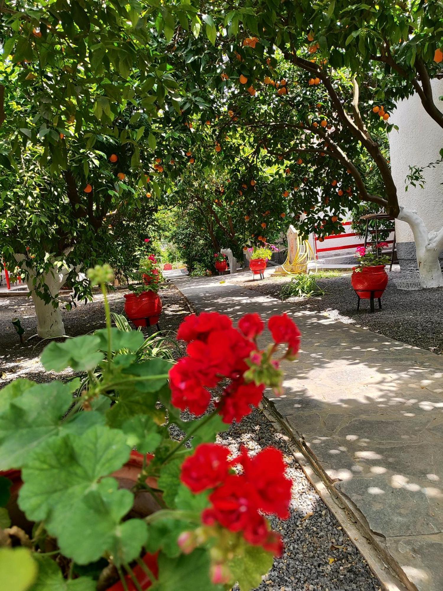 Cottonclub Villas Toló Kültér fotó