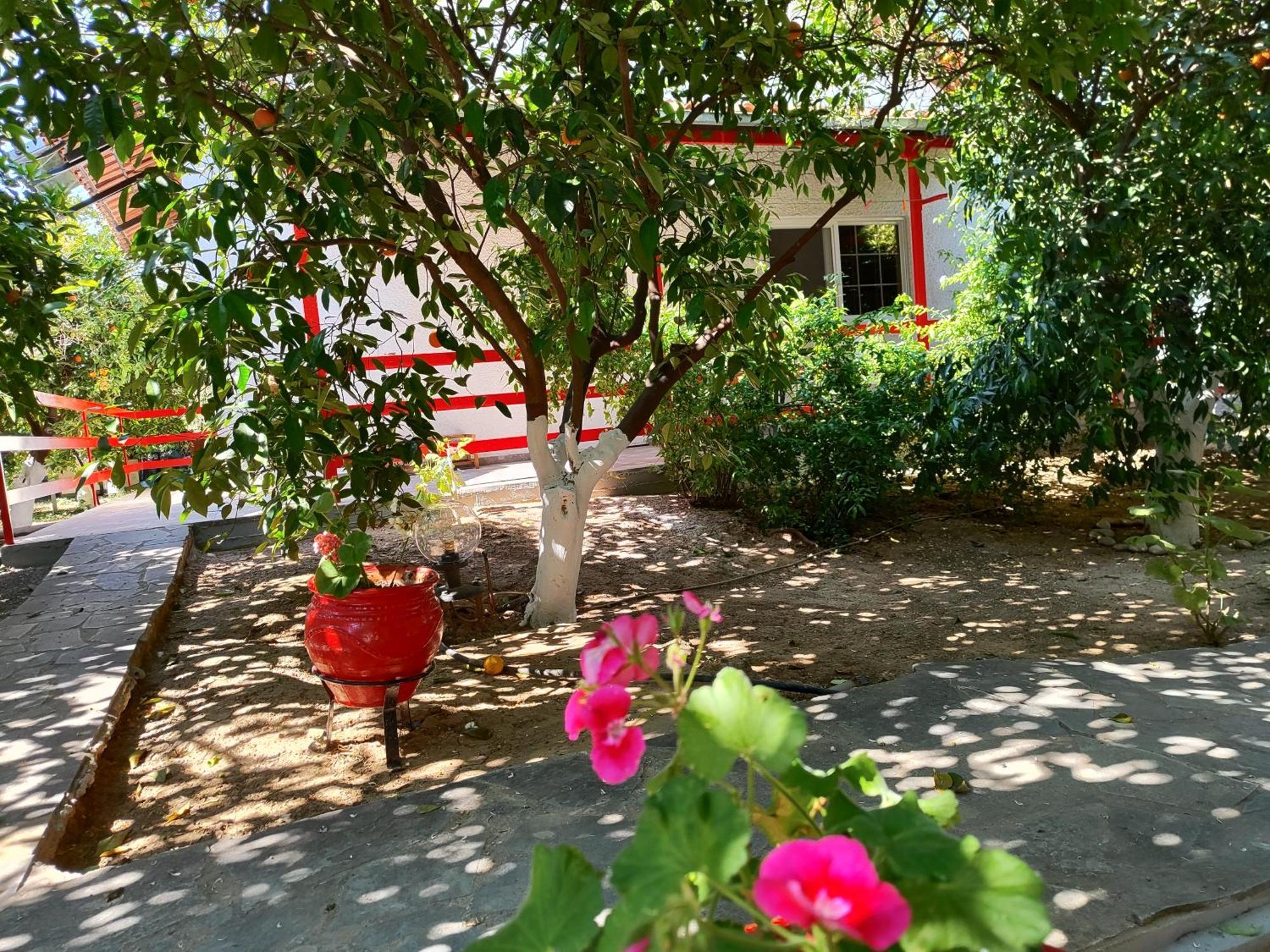 Cottonclub Villas Toló Kültér fotó