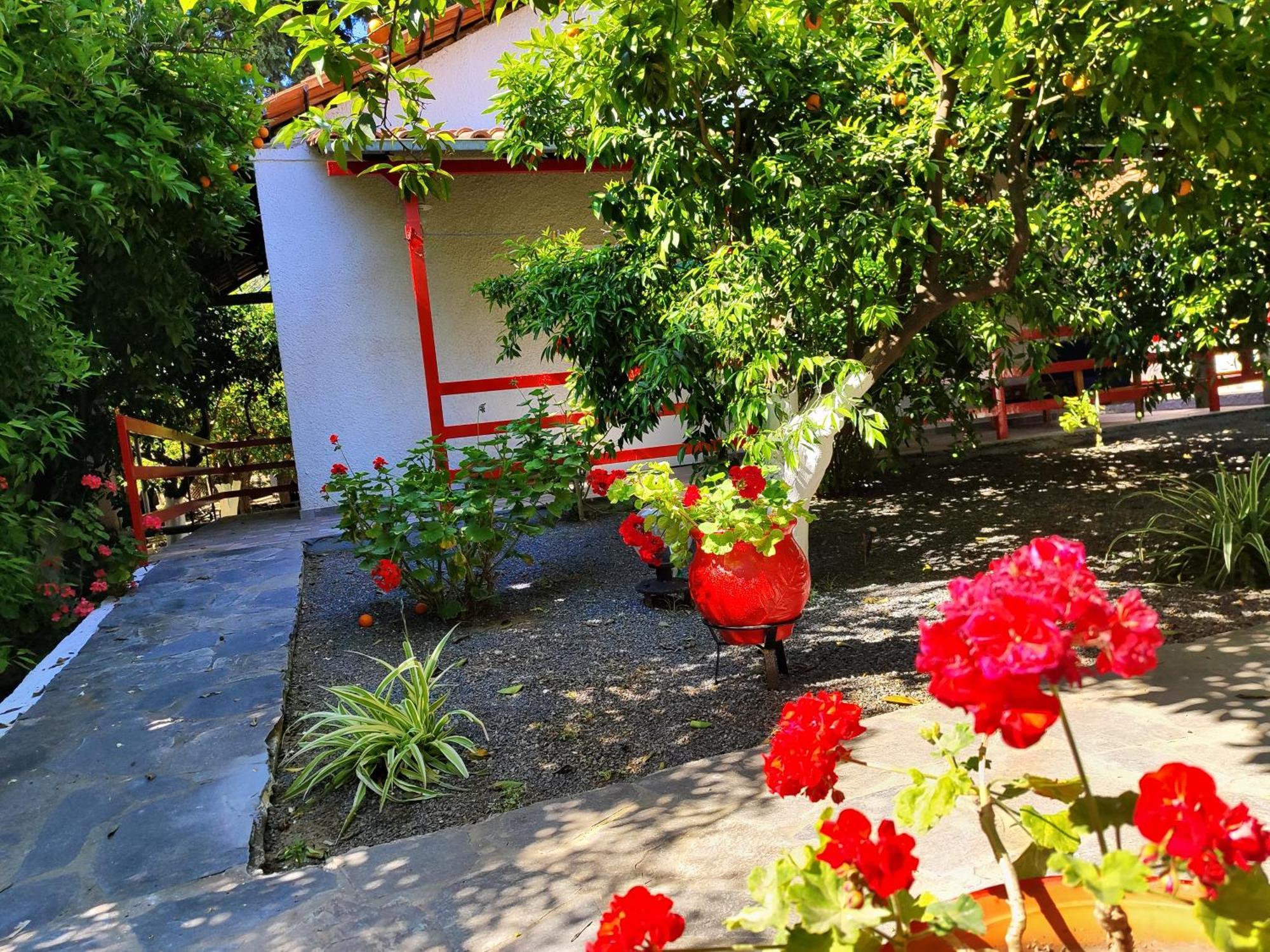Cottonclub Villas Toló Kültér fotó